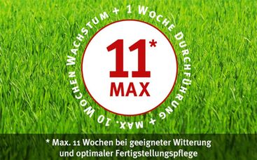 Sportrasen-Renovationskonzept 11max