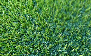 Mikroplastik im Fokus