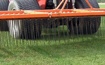 Bringen Sie ihren Sportplatzrasen optimal in die neue Saison!