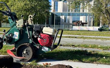 Fallbeispiel: Rasensanierung vor dem Bundeskanzleramt