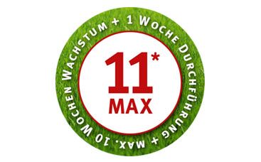 Sportrasen-Renovationskonzept