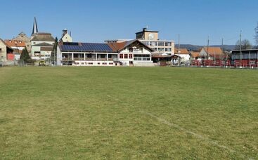 Tipp vom Fachmann: Frühjahrsdüngung als wichtiger Start in die Pflegesaison