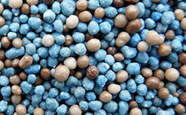 Was steckt im Düngerkorn? Deklarationsfeld gibt Auskunft