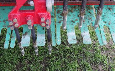 Warum sollte der Sportplatz gelockert werden?