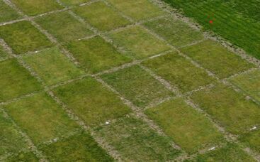 Zeit für Neues zum Jahresausklang mit Rasenwissenschaft