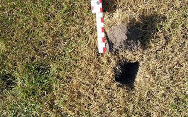 Wetting Agents verhindern Trockenschäden in Rasenflächen