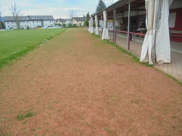 SV Vimbuch in Bühl bekommt neue Laufbahn