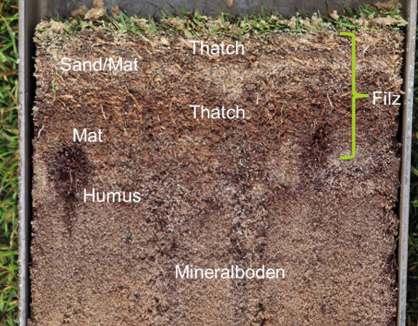Bodenprofil einer RTS enthält unterschiedliche Fraktionen an org. Substanz mit Auswirkungen auf das Mikrobiom.