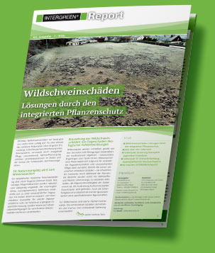 INTERGREEN-Report 01-2026